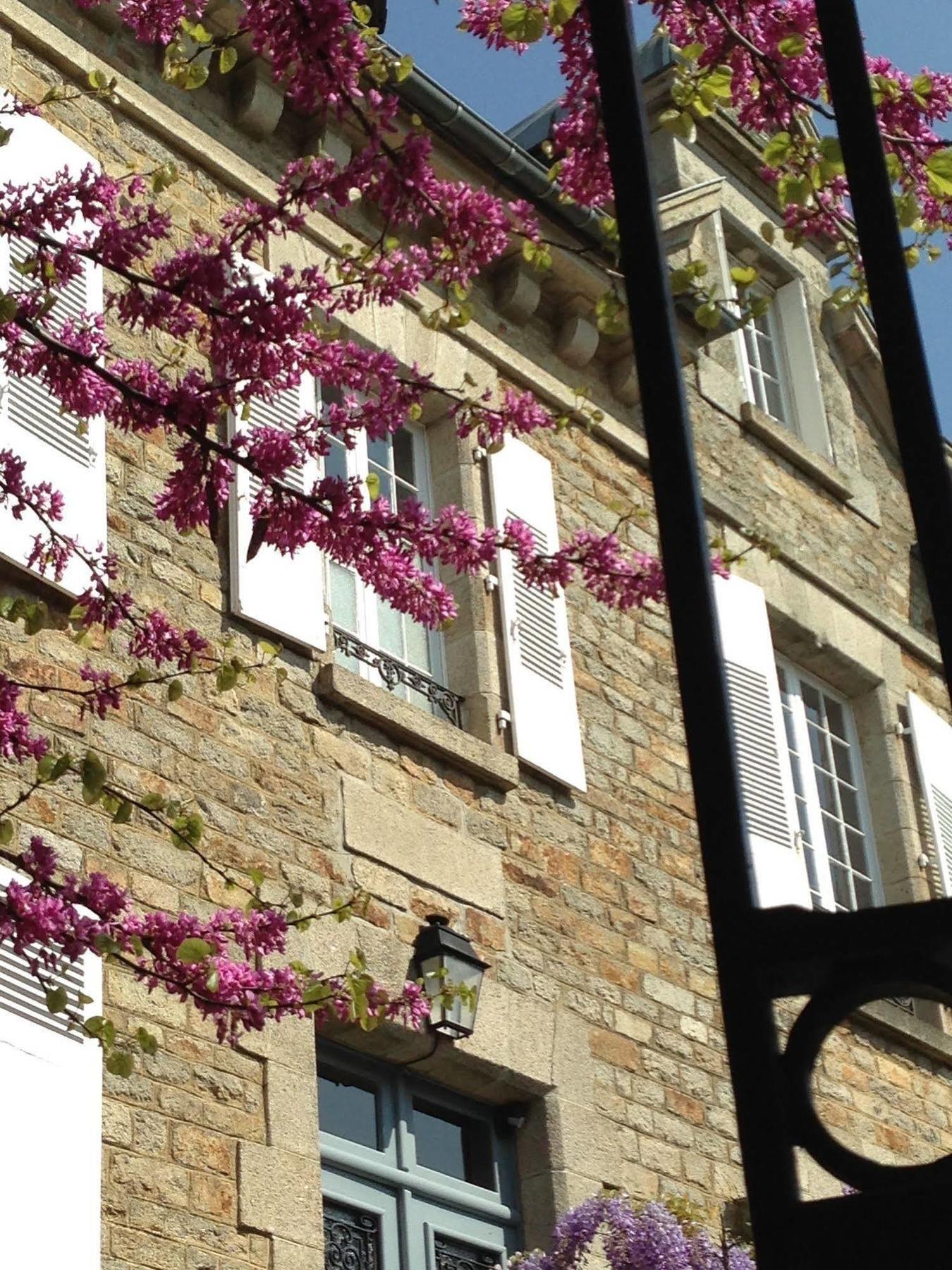 Bed and Breakfast Le 14 St Michel Josselin Exterior foto